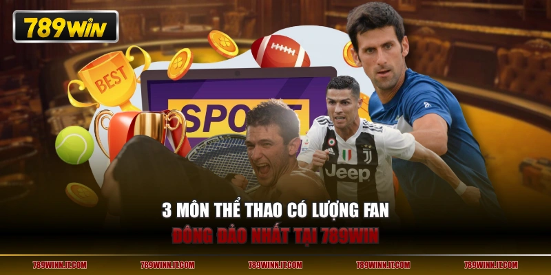 3 môn thể thao có lượng fan đông đảo nhất tại 789WIN